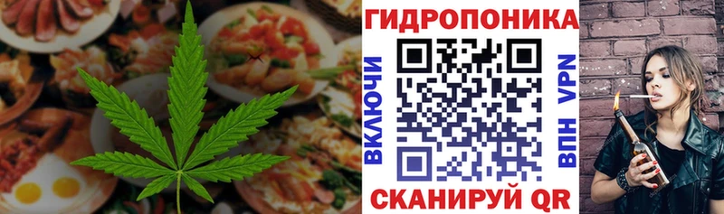 Купить  Дмитриев  Еда ТГК конопля 