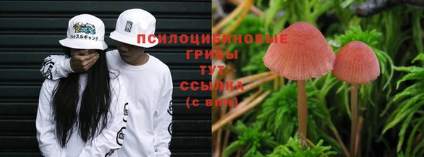 кокс Киренск