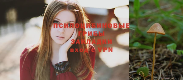 гашик Кинешма