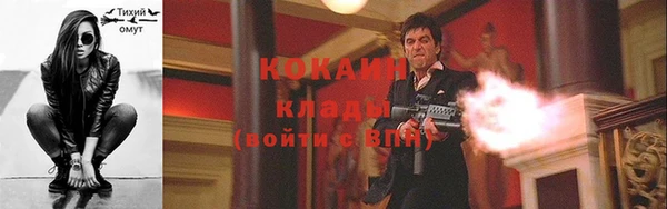 гашик Кинешма