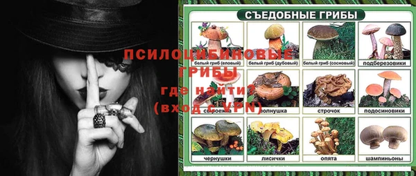 гашик Кинешма