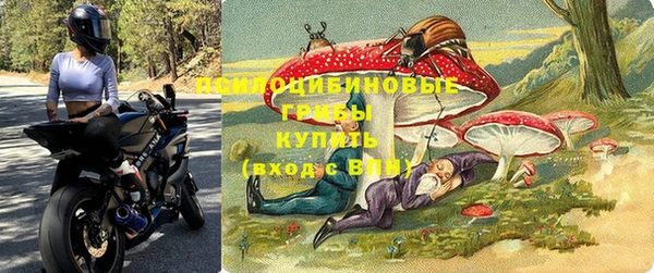 гашик Кинешма