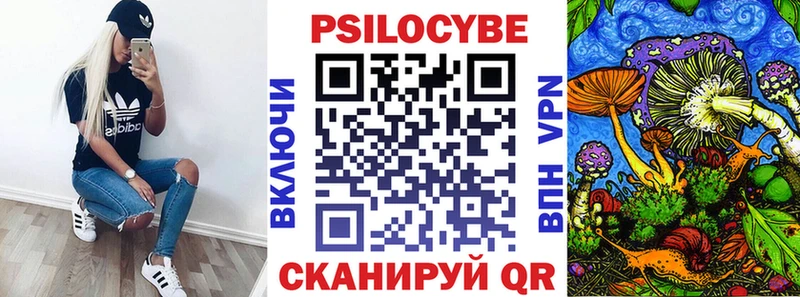 Псилоцибиновые грибы GOLDEN TEACHER  Купить где  Дмитриев 